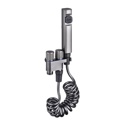 Wall-Mounted Bidet Spray