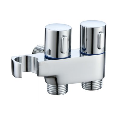 Bidet & Shower Combo